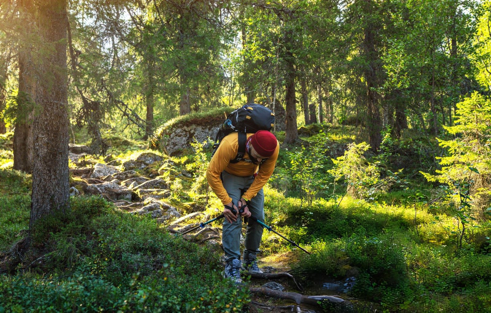 Read more about the article What Are the Top 5 Causes of Back Pain in the Mountains (and How Can Chiropractic Help)?